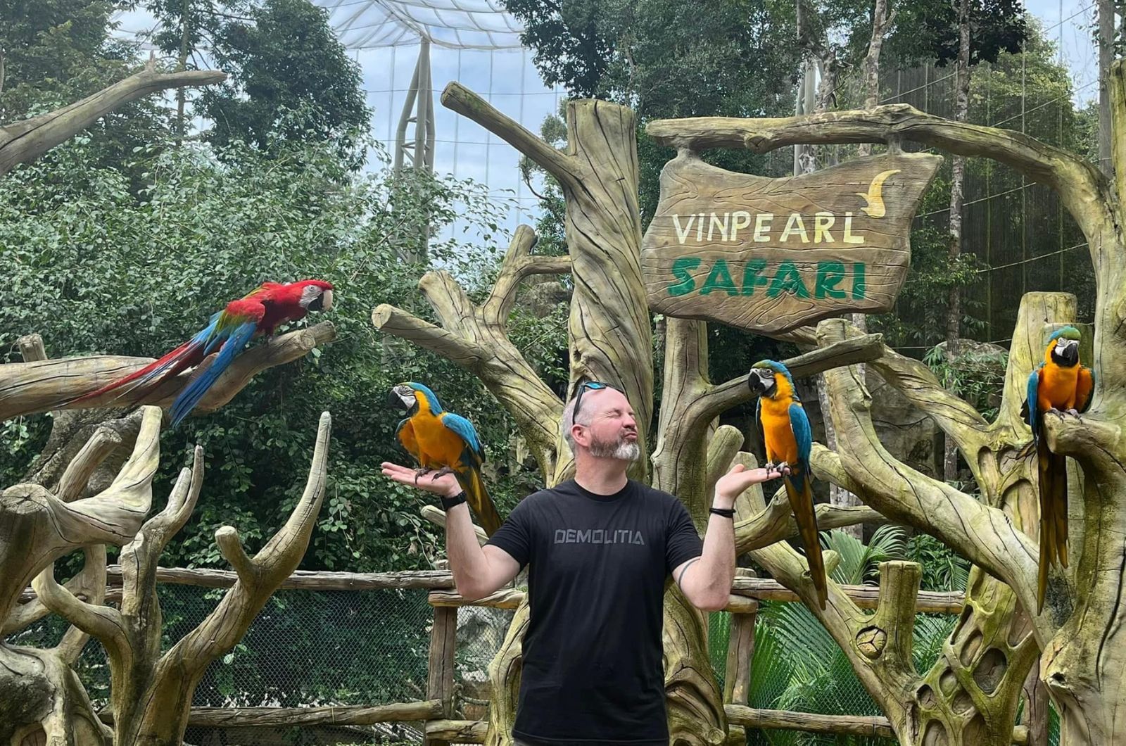 Mua vé combo sẽ tiết kiệm chi phí hơn