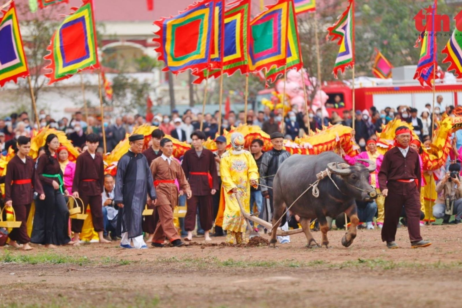 Nên đến sớm để tránh có vị trí quan sát đẹp 