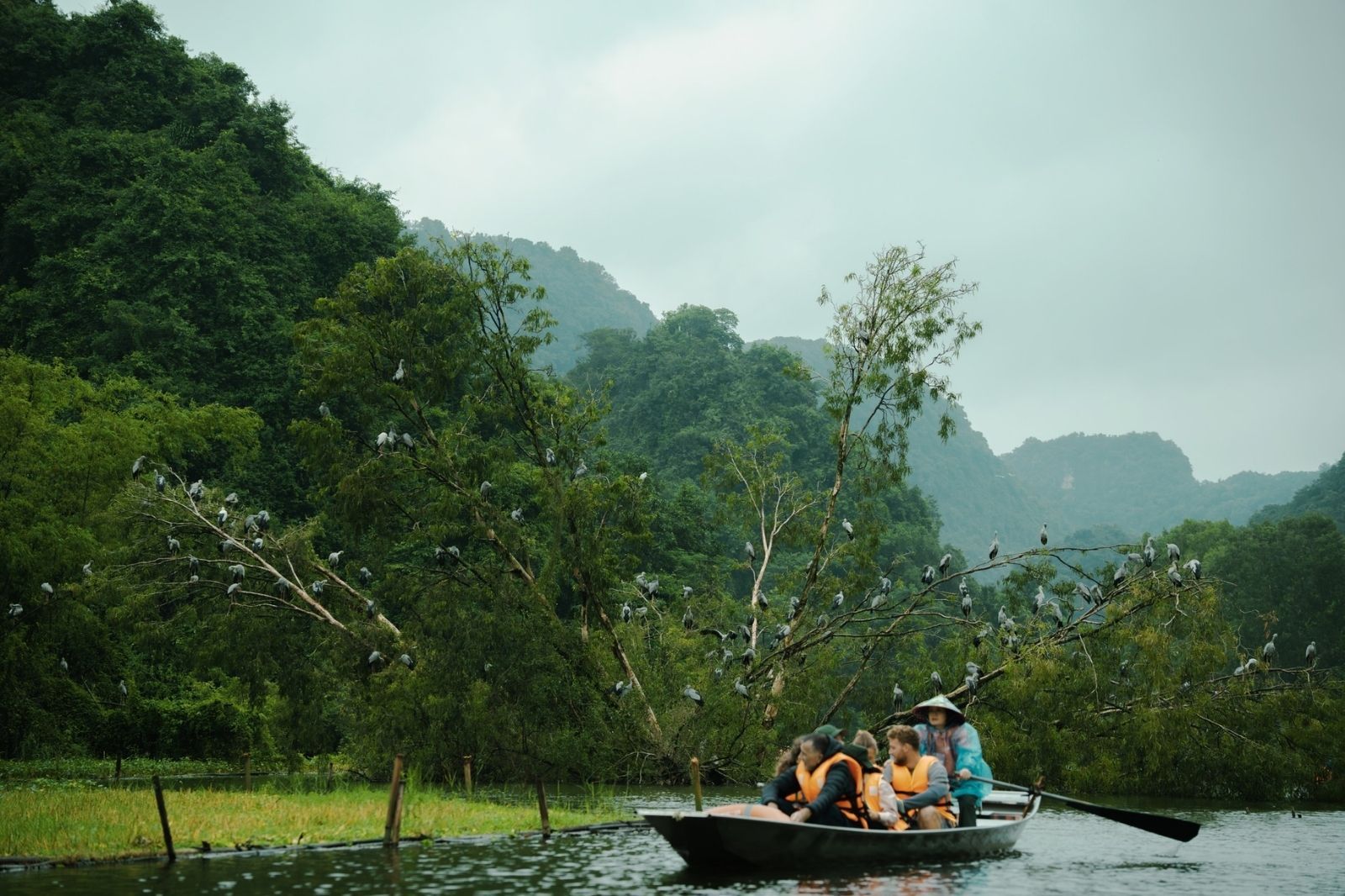 Paseo en bote para observar las aves