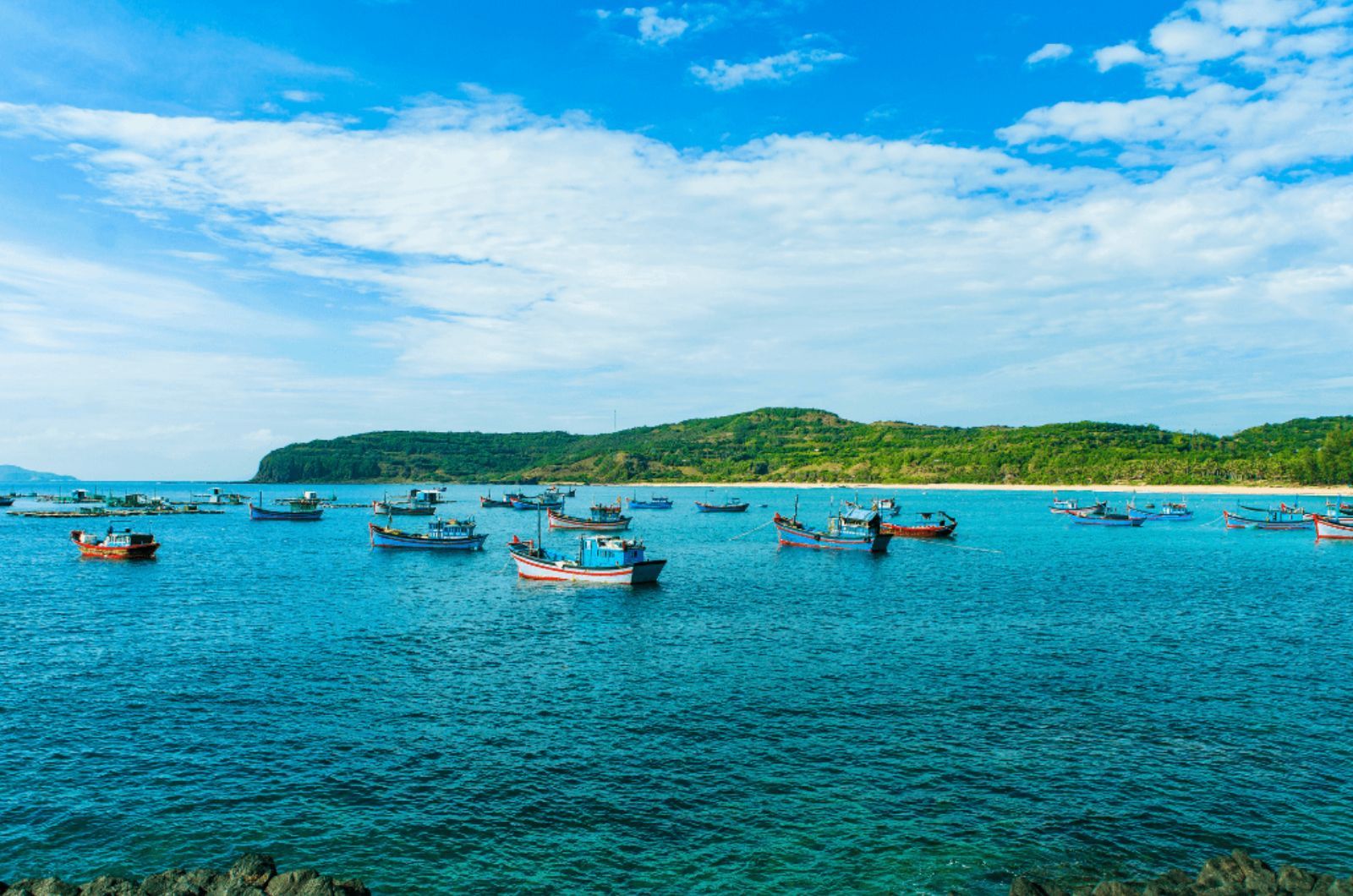 Observer le va-et-vient des bateaux le long des plages