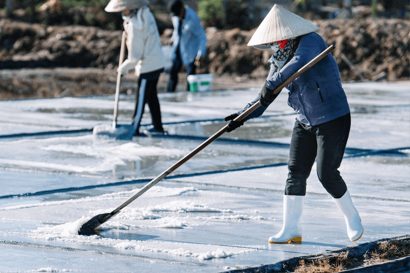 Nghề làm muối truyền thống ở các vùng ven biển  
