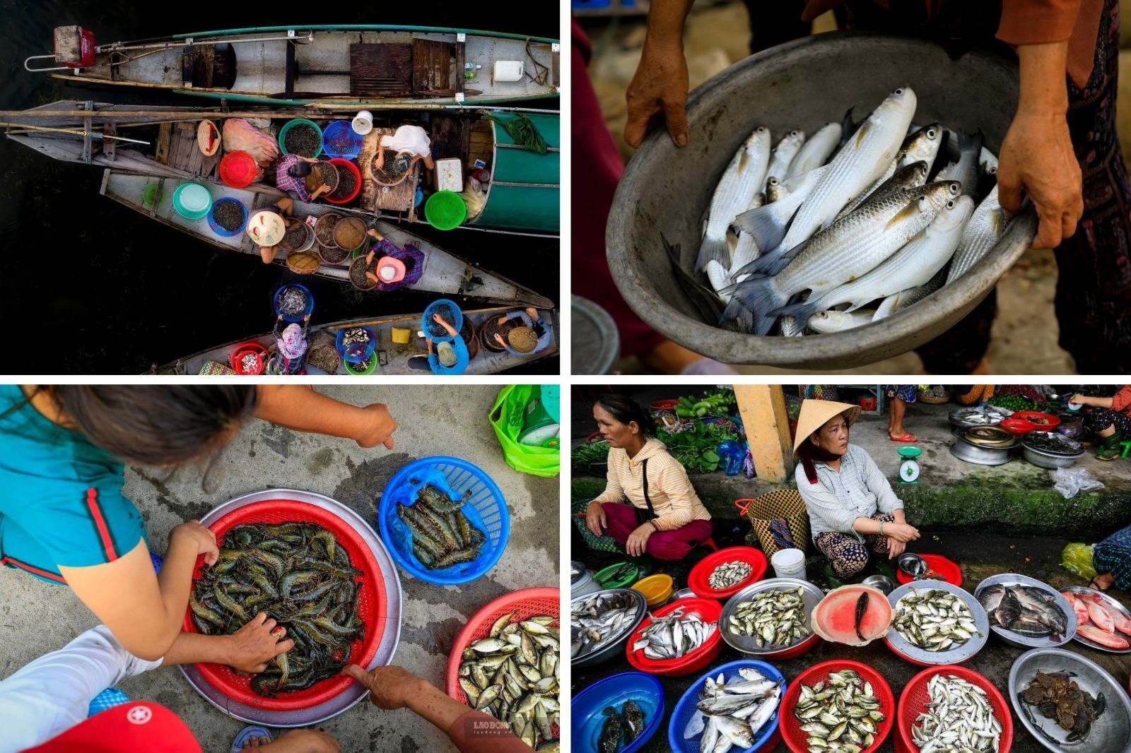 Người dân đánh bắt hải sản và đem ra chợ bán 