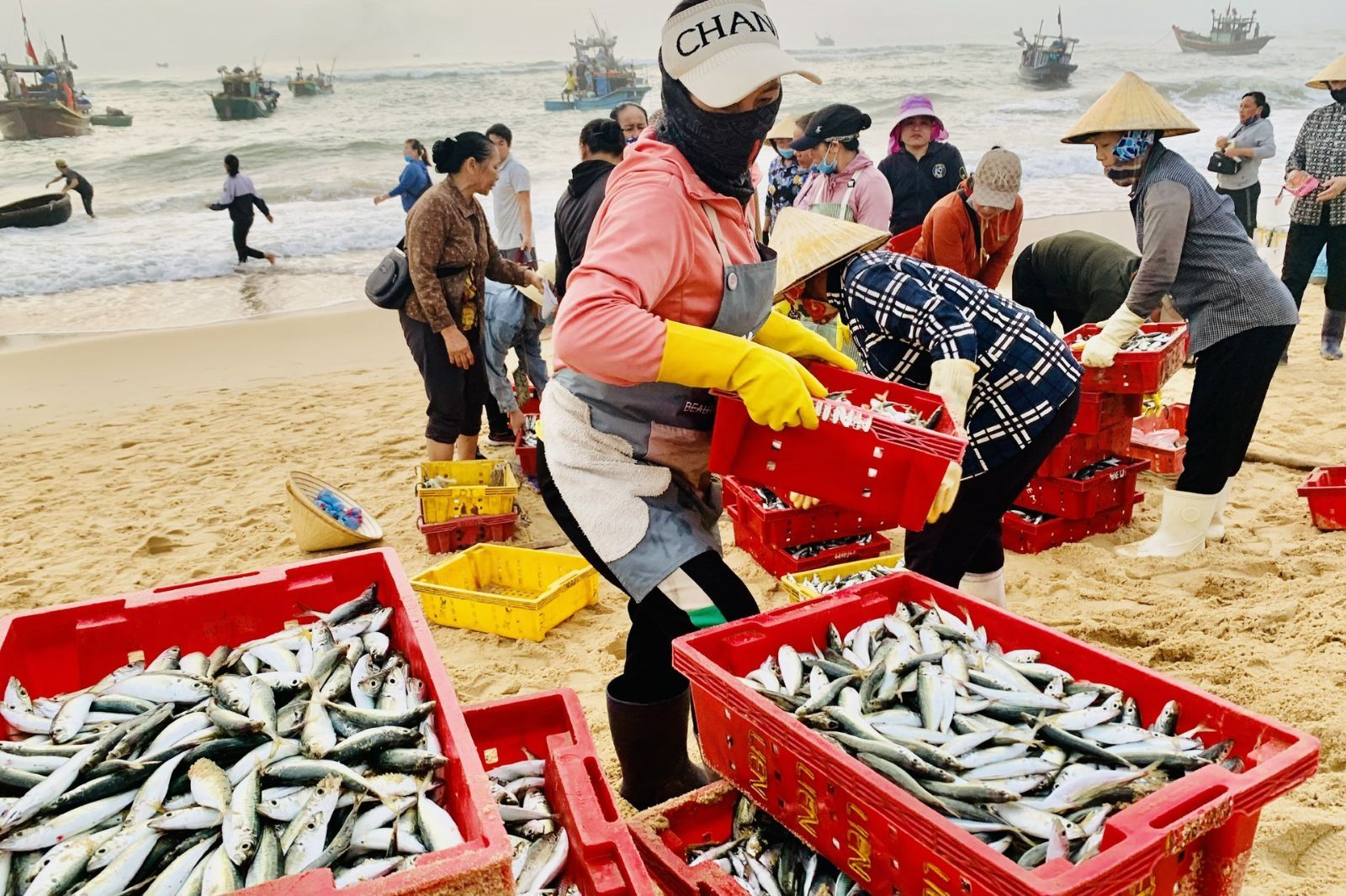 Người dân miền biển gắn bó với những công việc mưu sinh