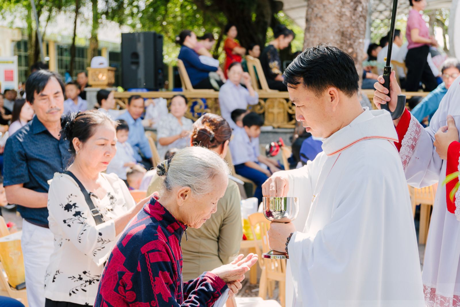 Người dân tìm về tham dự Lễ hội rước kiệu Đức Mẹ La Vang 