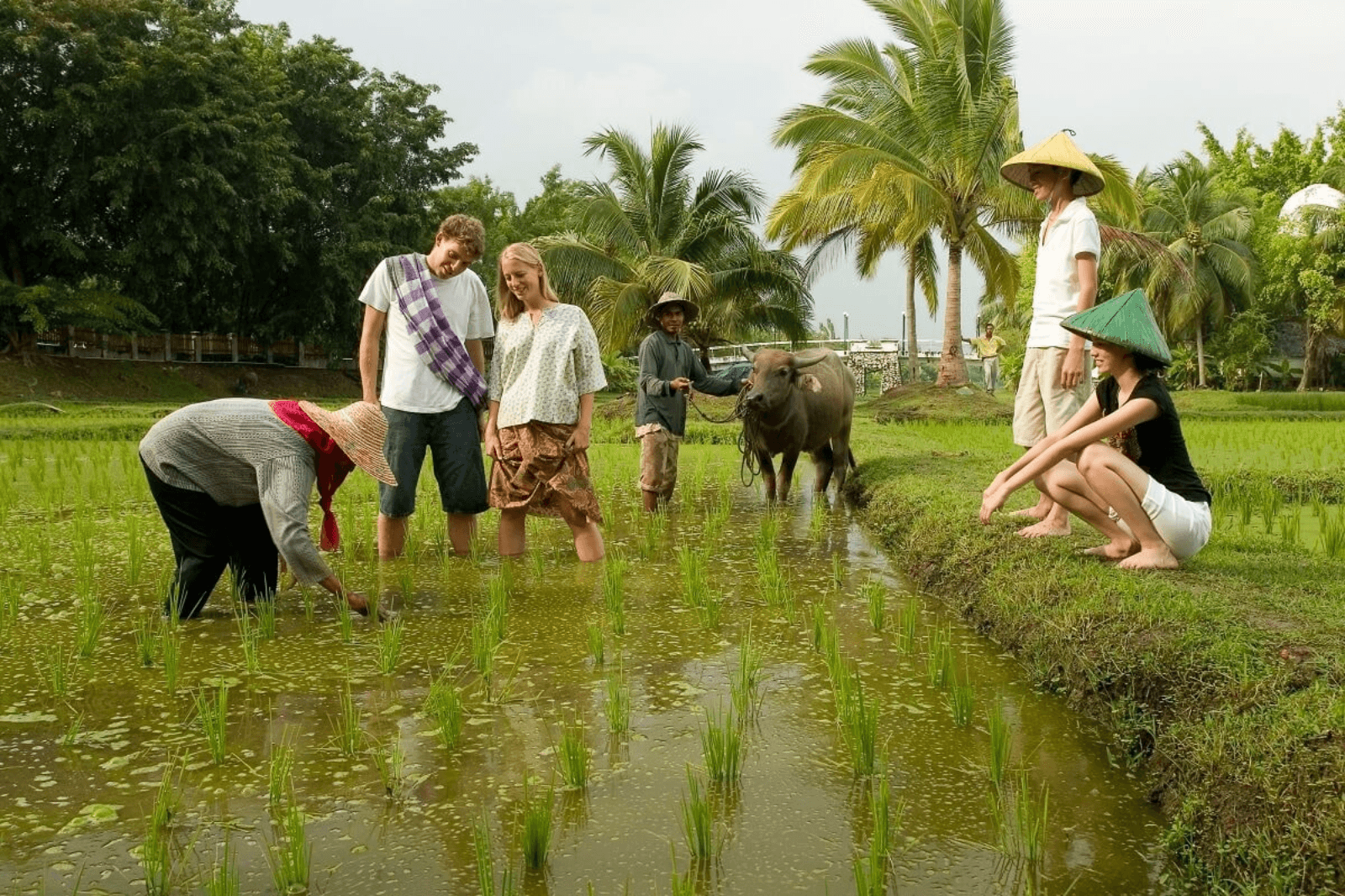 Nhiều tour còn mang lại trải nghiệm thực tế gần gũi 