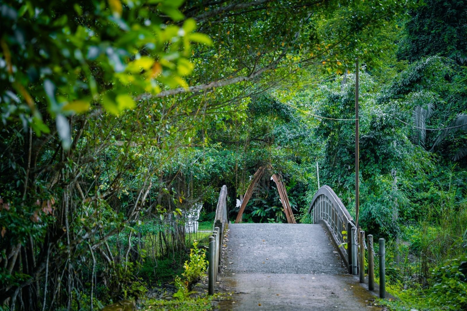 Nhiều tuyến đường di chuyển đến Vườn quốc gia Cúc Phương