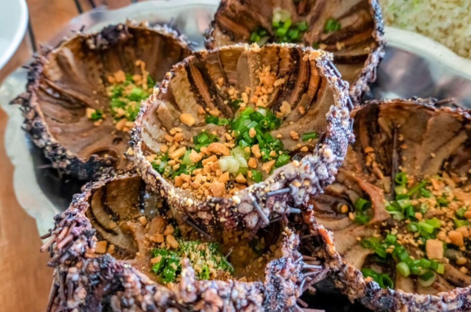 Nhum biển Phú Quốc