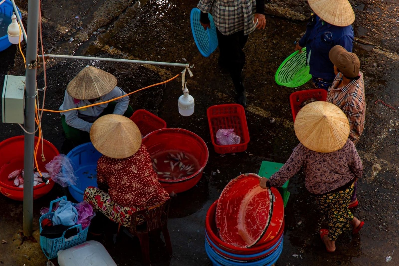 Những người bán cá đa phần là phụ nữ 