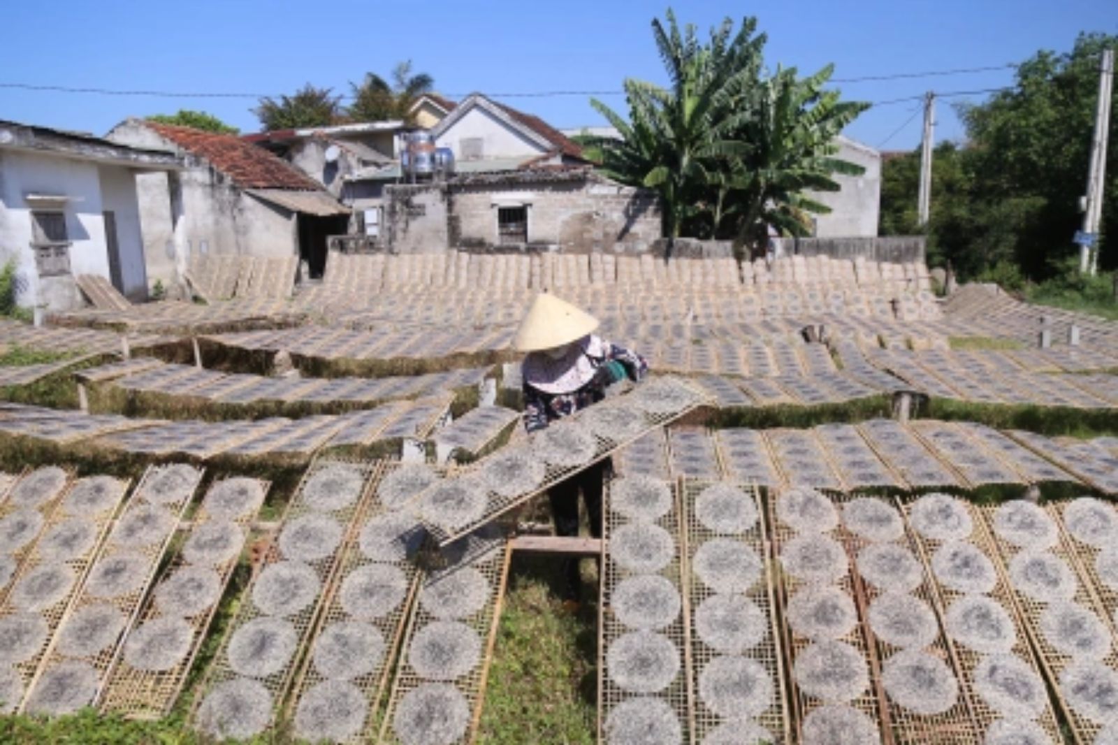 Nơi đây nổi tiếng với những chiếc bánh tráng mỏng, dẻo và thơm ngon, mang đậm hương vị quê hương