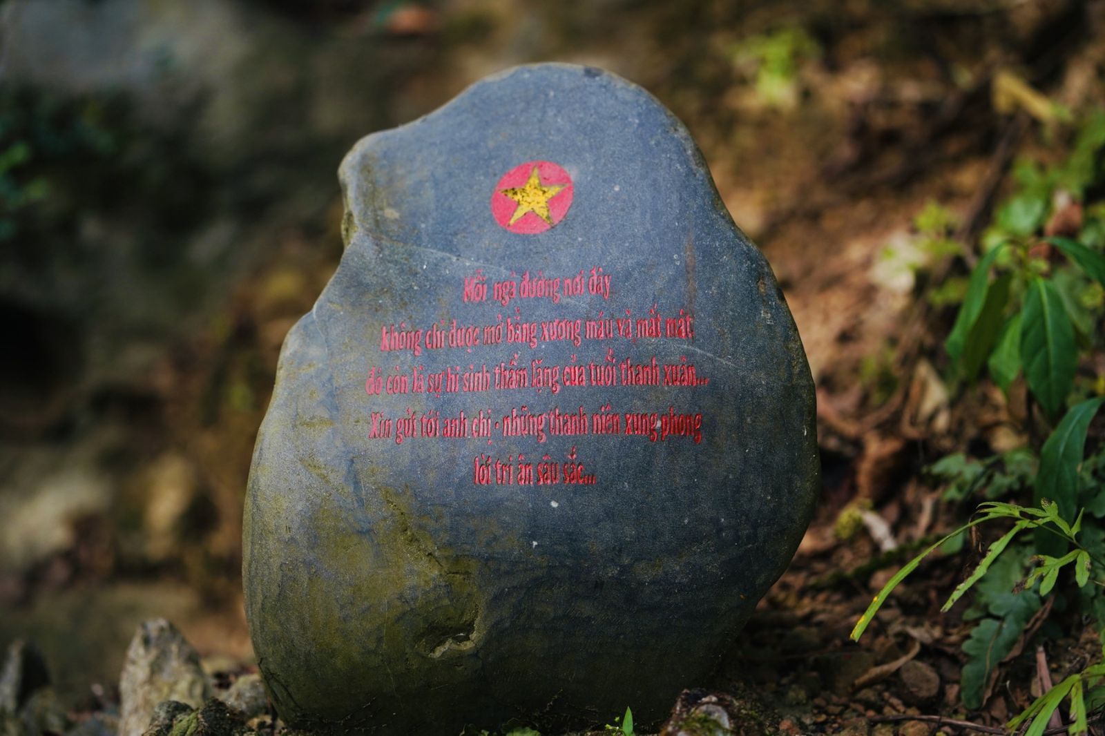 Nơi khắc ghi những lời tri ân sâu sắc