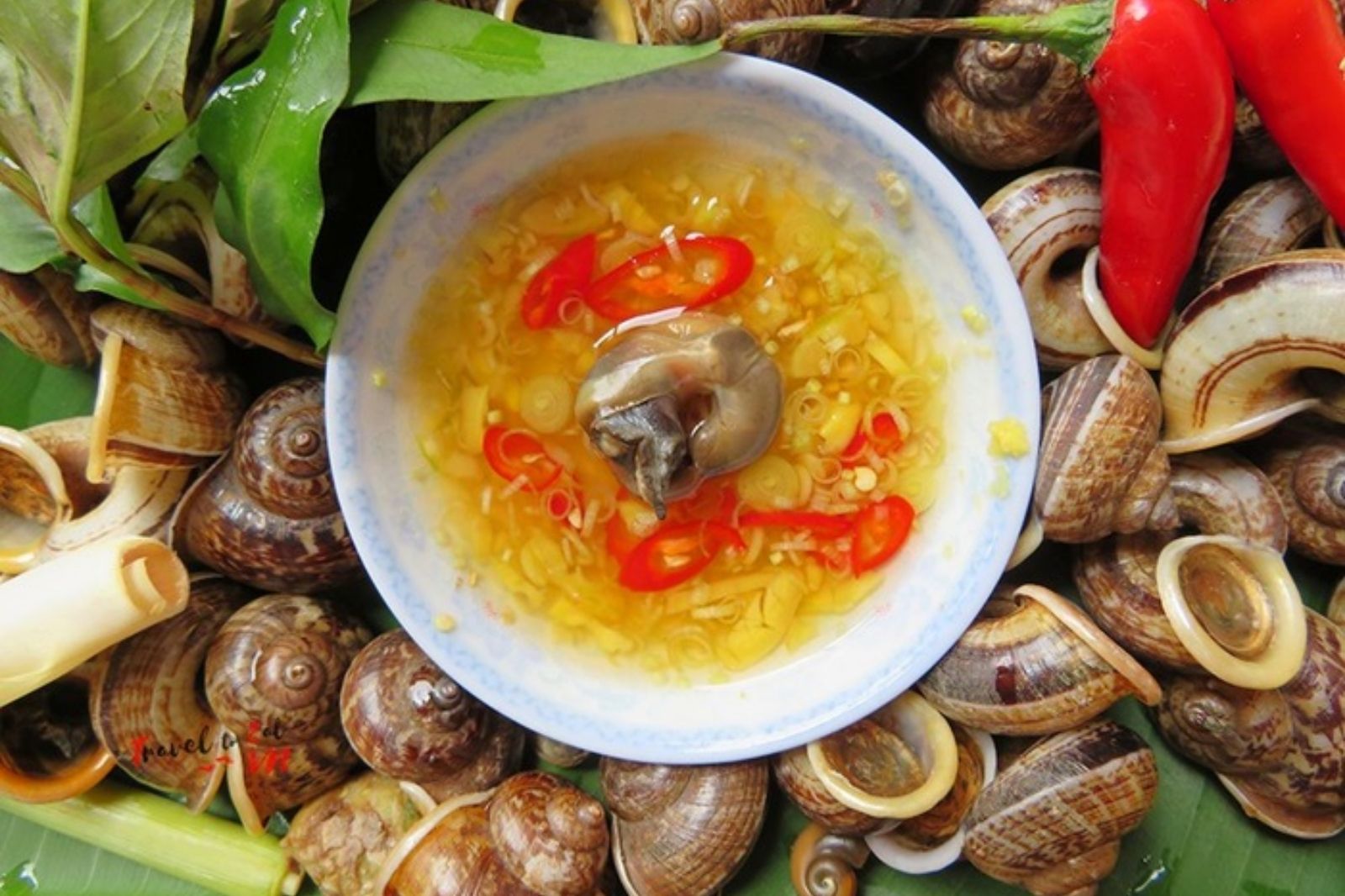 Ốc núi luộc chấm mắm gừng  