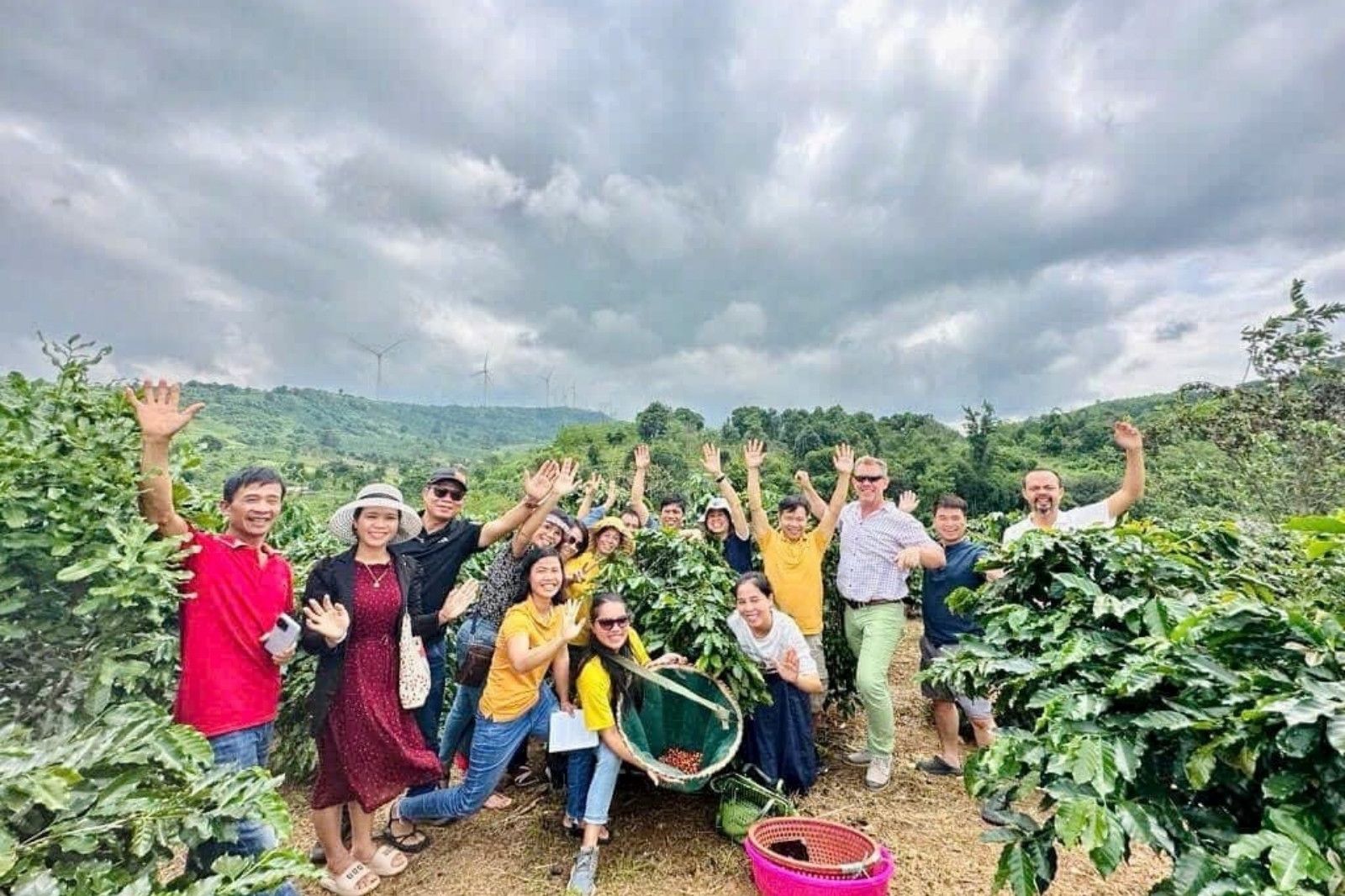 Phát triển du lịch vườn cà phê Khe Sanh