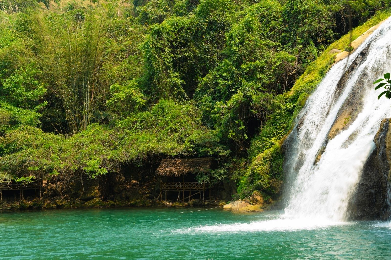 Phí bảo vệ môi trường 