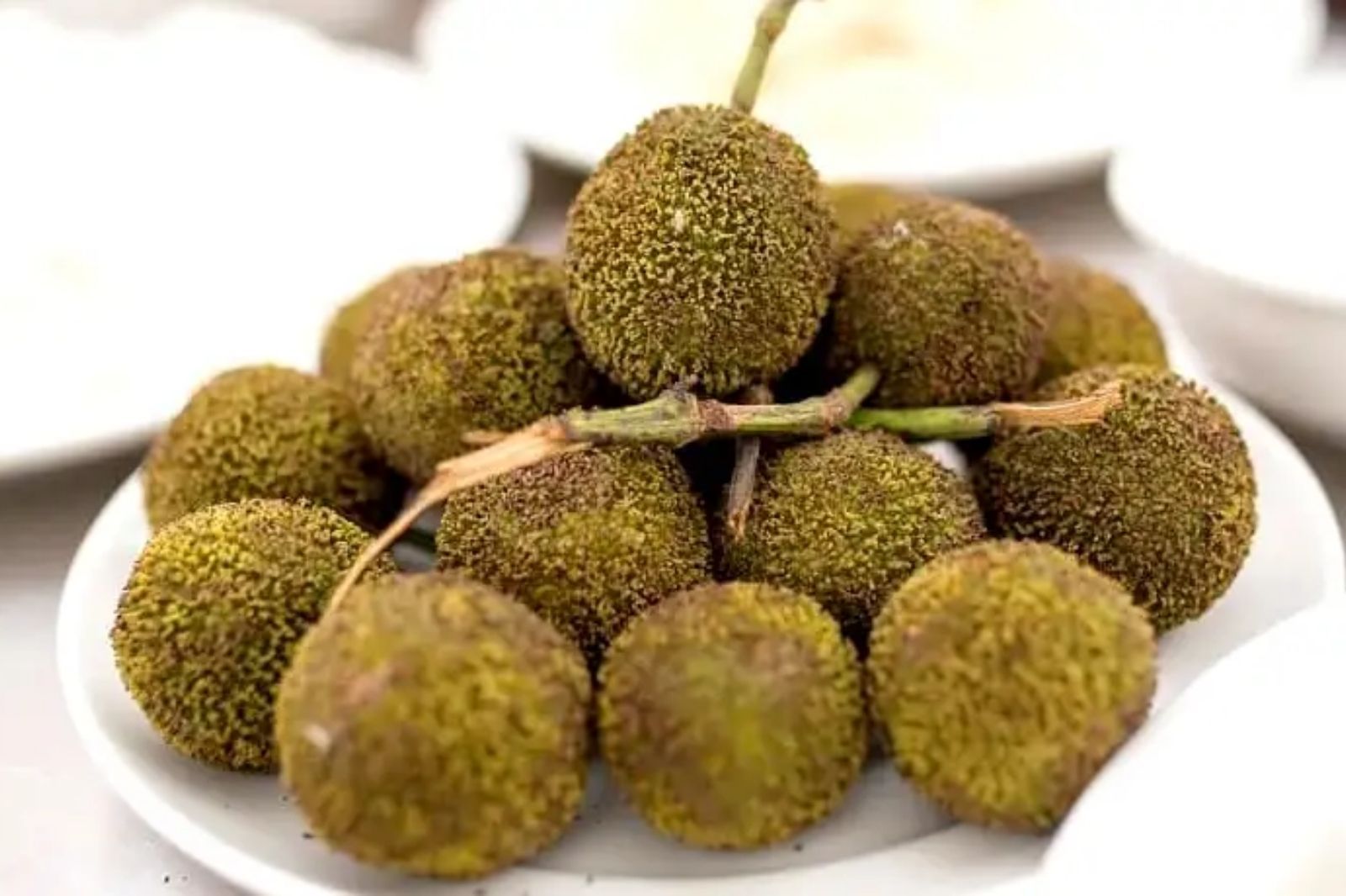 Quả gáo Ninh Bình