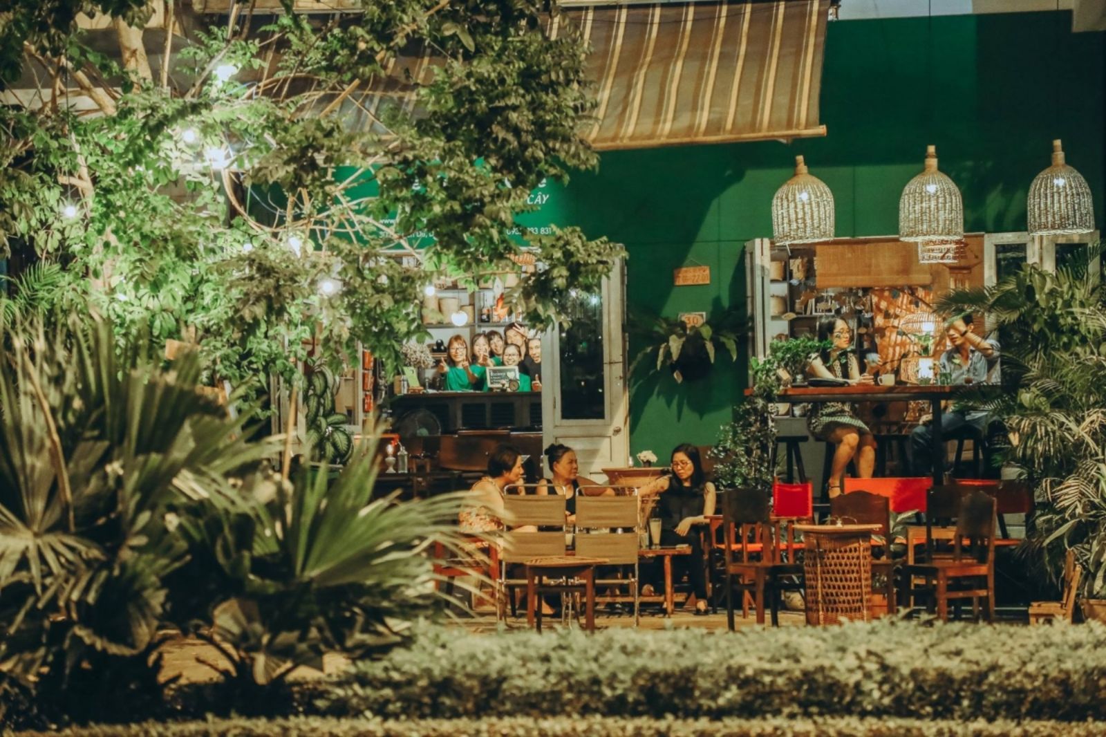 Quán cà phê Tree Hugger