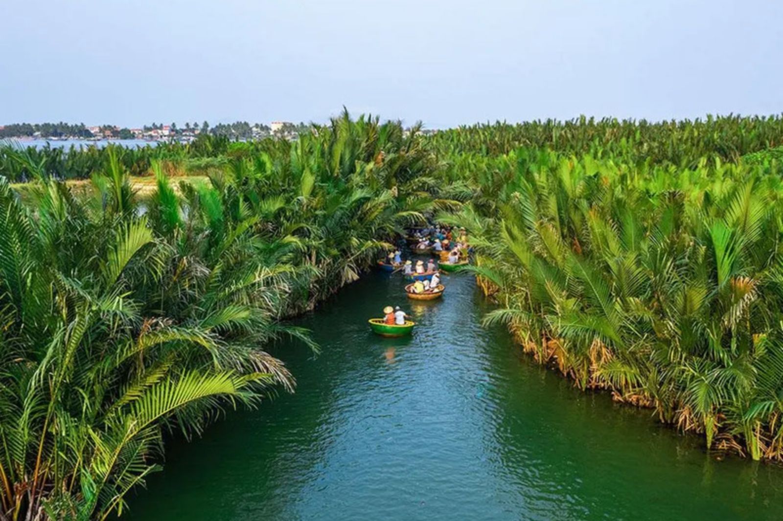 Rừng dừa Bảy Mẫu 