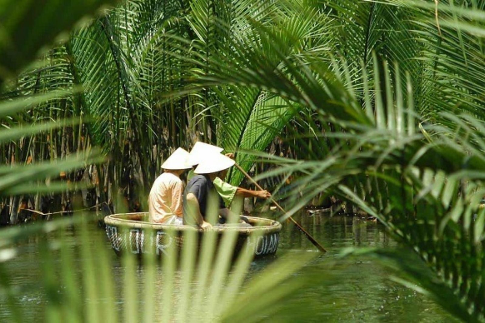 Rừng dừa Bảy Mẫu  