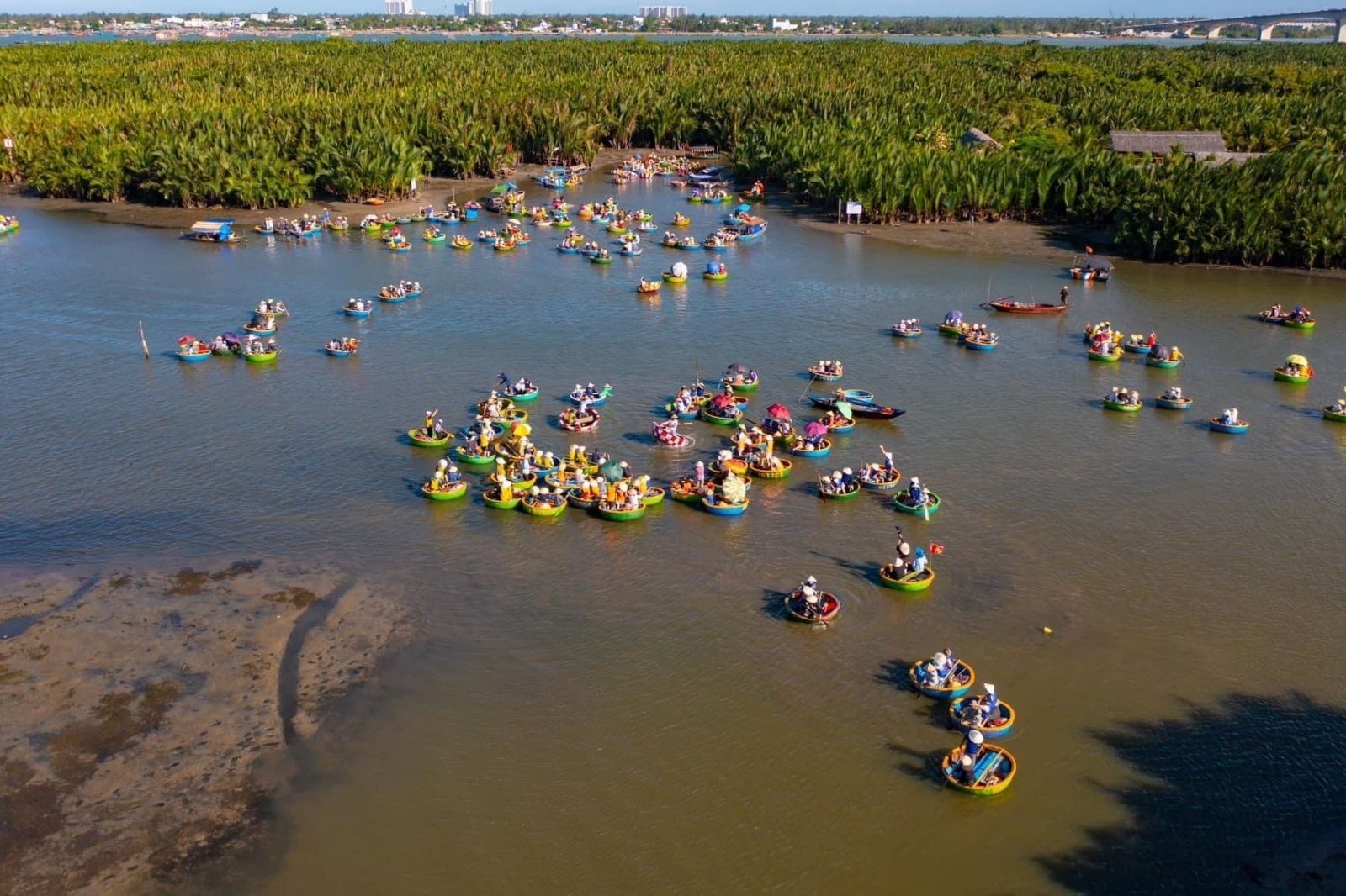 Rừng Dừa Bảy Mẫu ở Hội An 