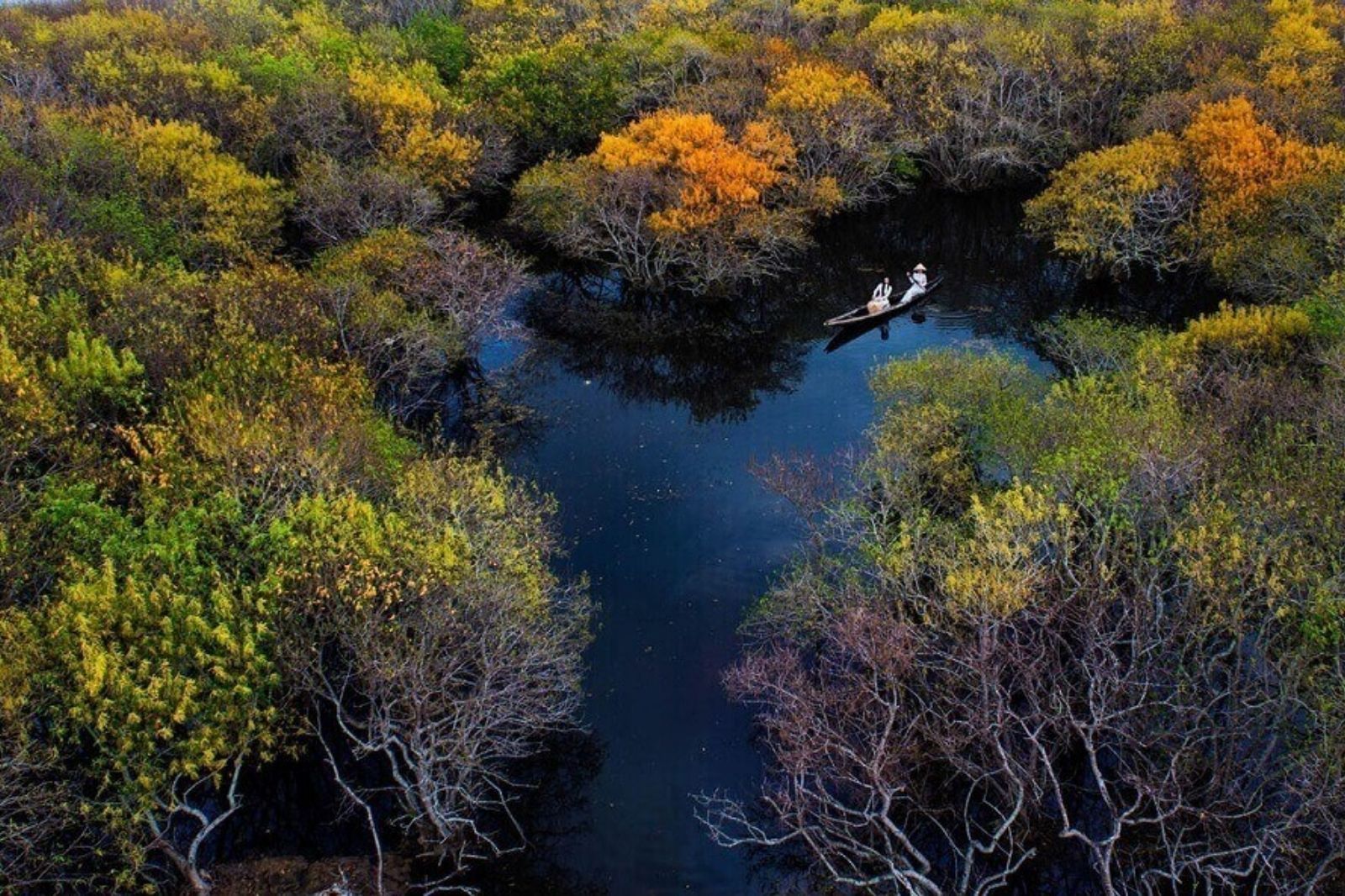 Rừng ngập mặn Rú Chá