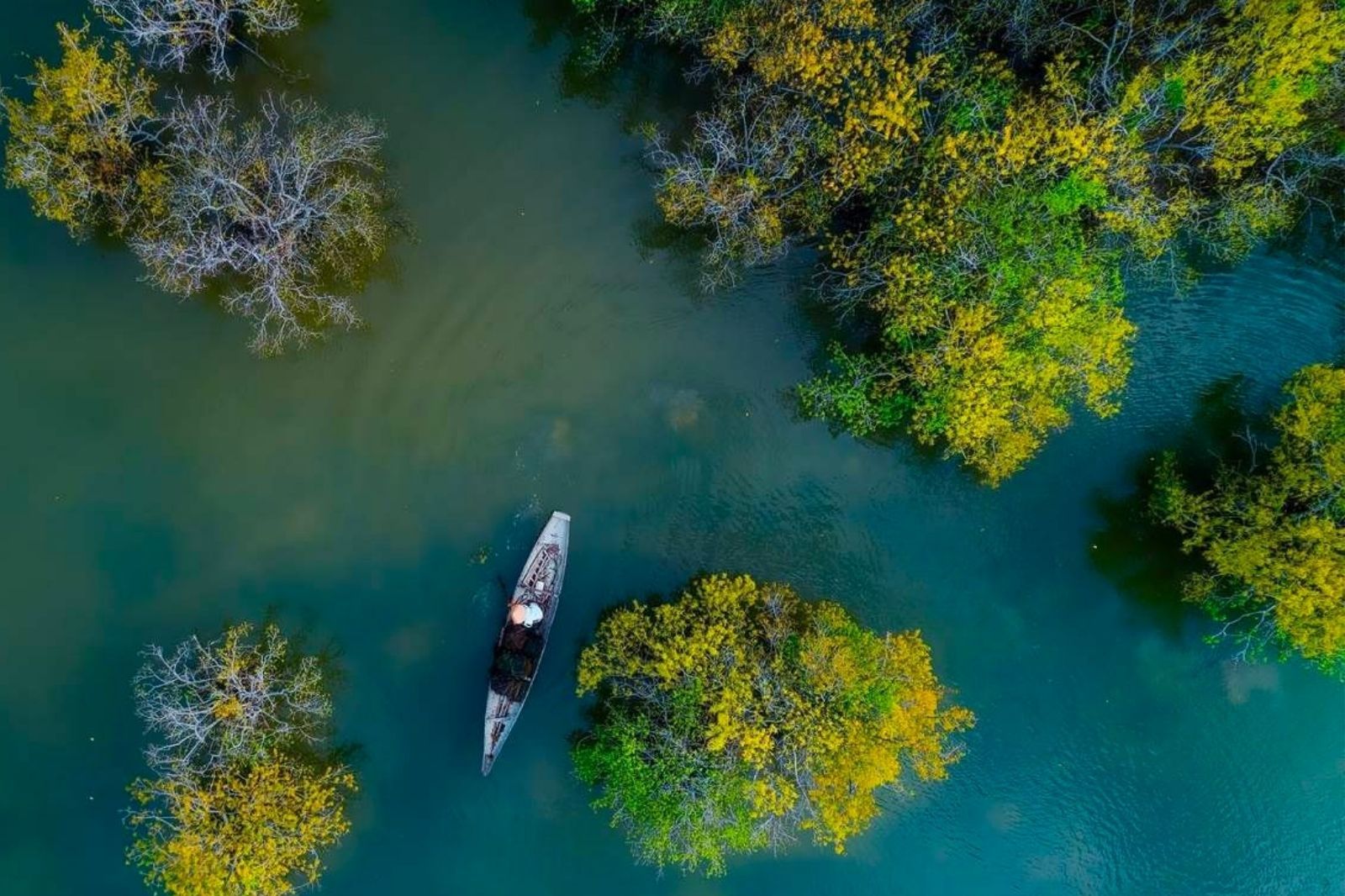 Rừng Rú Chá từ trên cao 