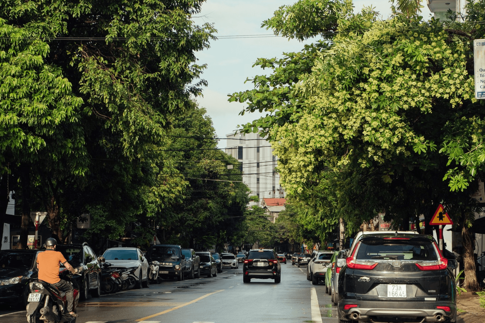 Sẽ có những ngày hửng nắng