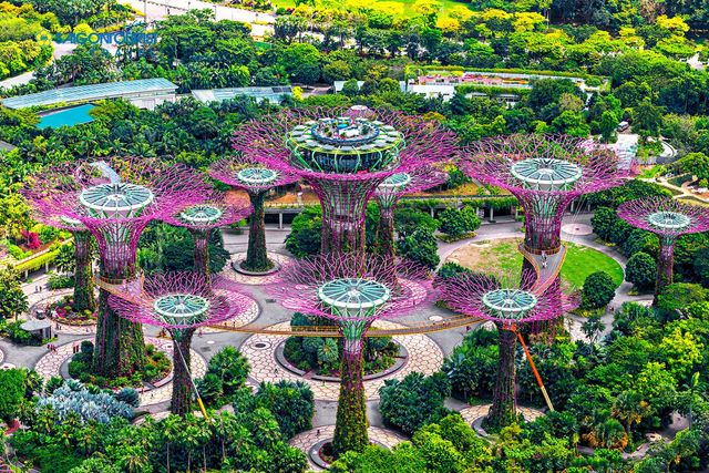 Gardens by the Bay ở Singapore