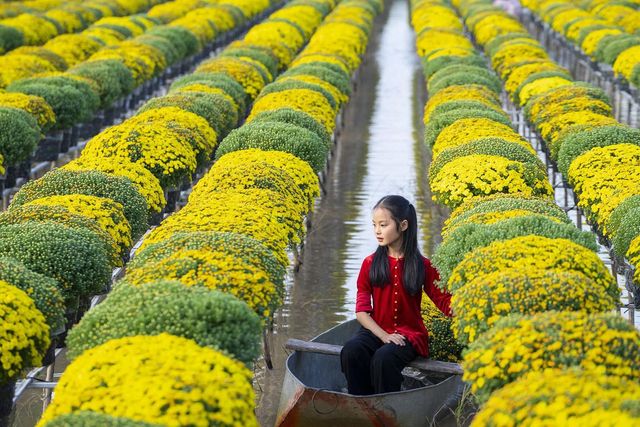 Làng hoa kiểng Sa Đéc