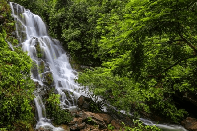 Check-in Vườn Thực Vật Phong Nha