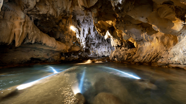 Động Phong Nha 23