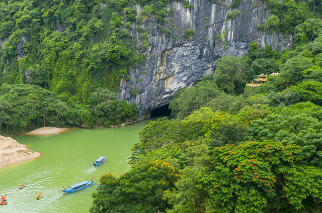 Động Phong Nha 6