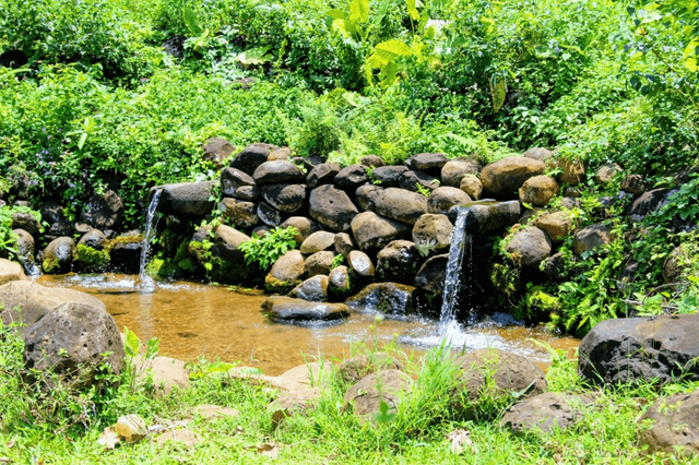 Giếng cổ Gio An