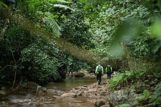 Hành trình leo núi, vượt suối để trekking Hang Én