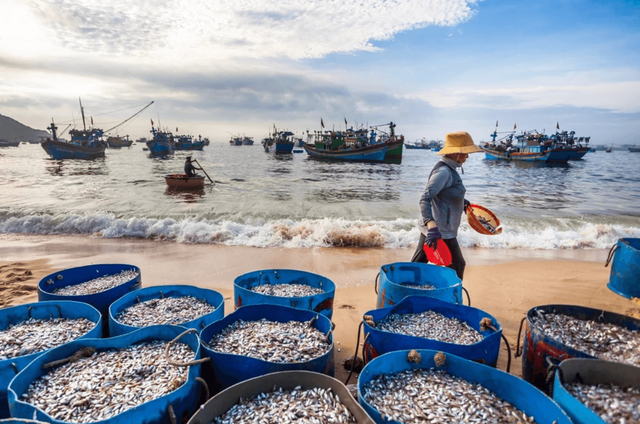 Khám phá vẻ đẹp bình dị ở làng chài ven biển Nhật Lệ 