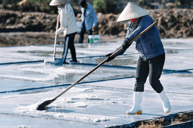 Nghề làm muối ở Quảng Bình