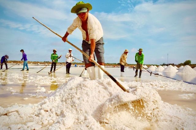 Giọt mồ hôi trên cát - Khám phá nghề làm muối truyền thống ở Quảng Bình