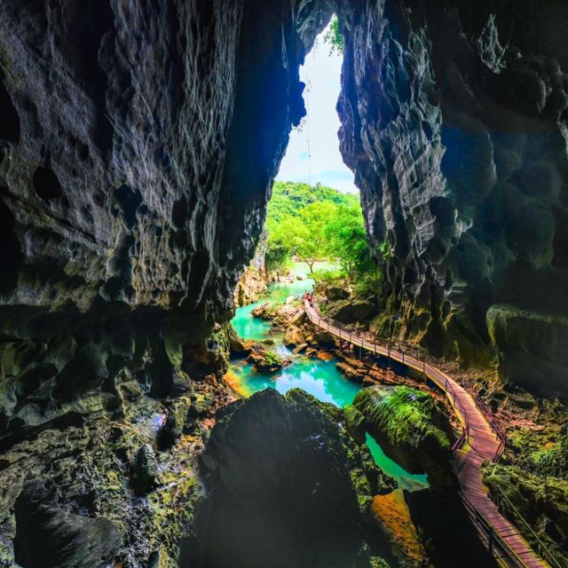 Paradise-cave-and-dark-cave-with-tang's-farm-day-tour