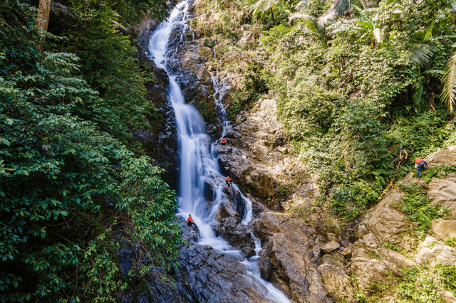 Thác Dương Cầm 