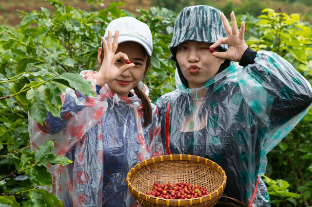 Tour cà phê ở Khe Sanh