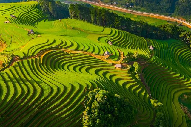 Tour Mù Cang Chải 4N3Đ