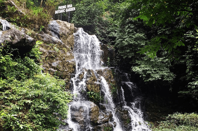 Trải nghiệm trekking tại Vườn Thực Vật Phong Nha 