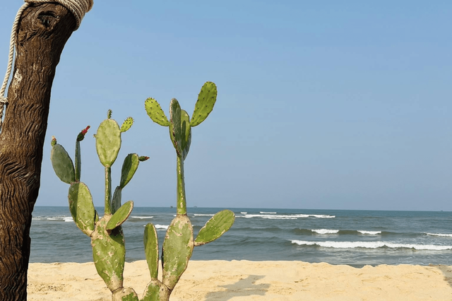 Biển Nhật Lệ