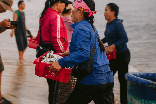 Chọn hải sản tươi sống  