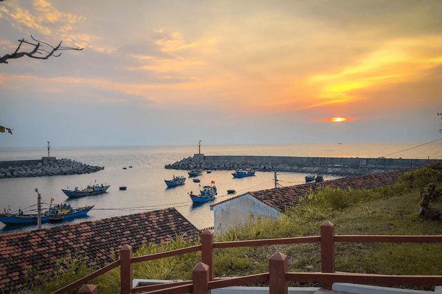 Có nên đi tour đảo Cồn Cỏ không 