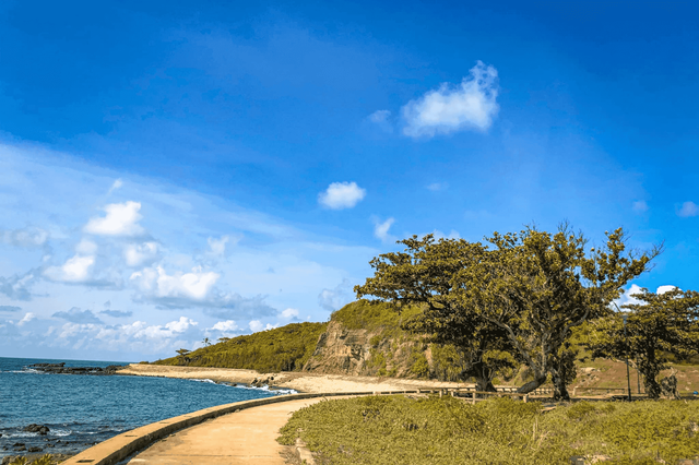 Di chuyển trên đảo Cồn Cỏ 