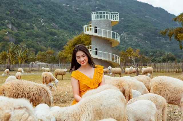 Đồng cừu Suối Tiên  