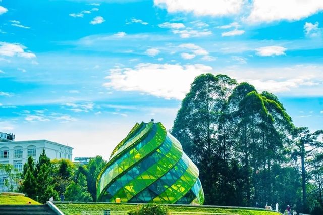 Khởi Hành Từ Nha Trang: Khám Phá Đà Lạt - Thành Phố Ngàn Hoa