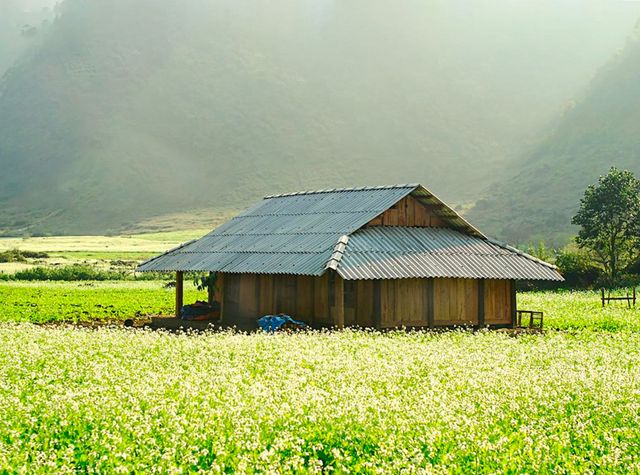 sovaba