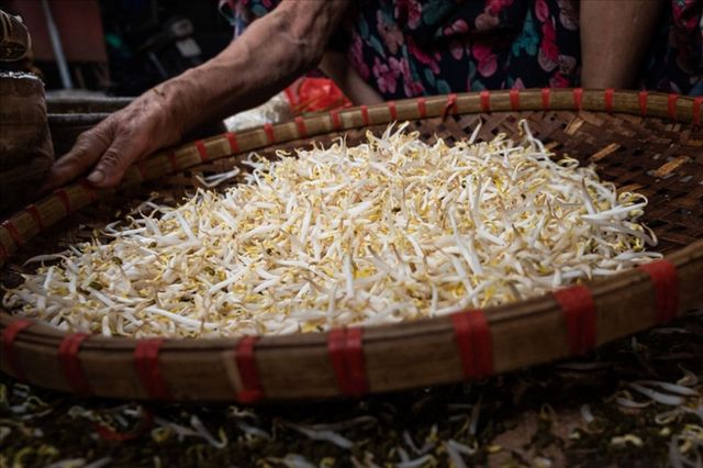 Nghề làm giá đỗ truyền thống ở Lam Thủy 