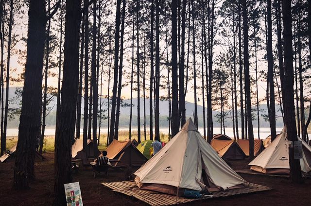 Nghỉ đêm tại Lux Camp 