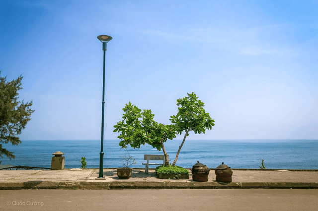 Những điều đặc biệt chỉ có trên đảo Cồn Cỏ 